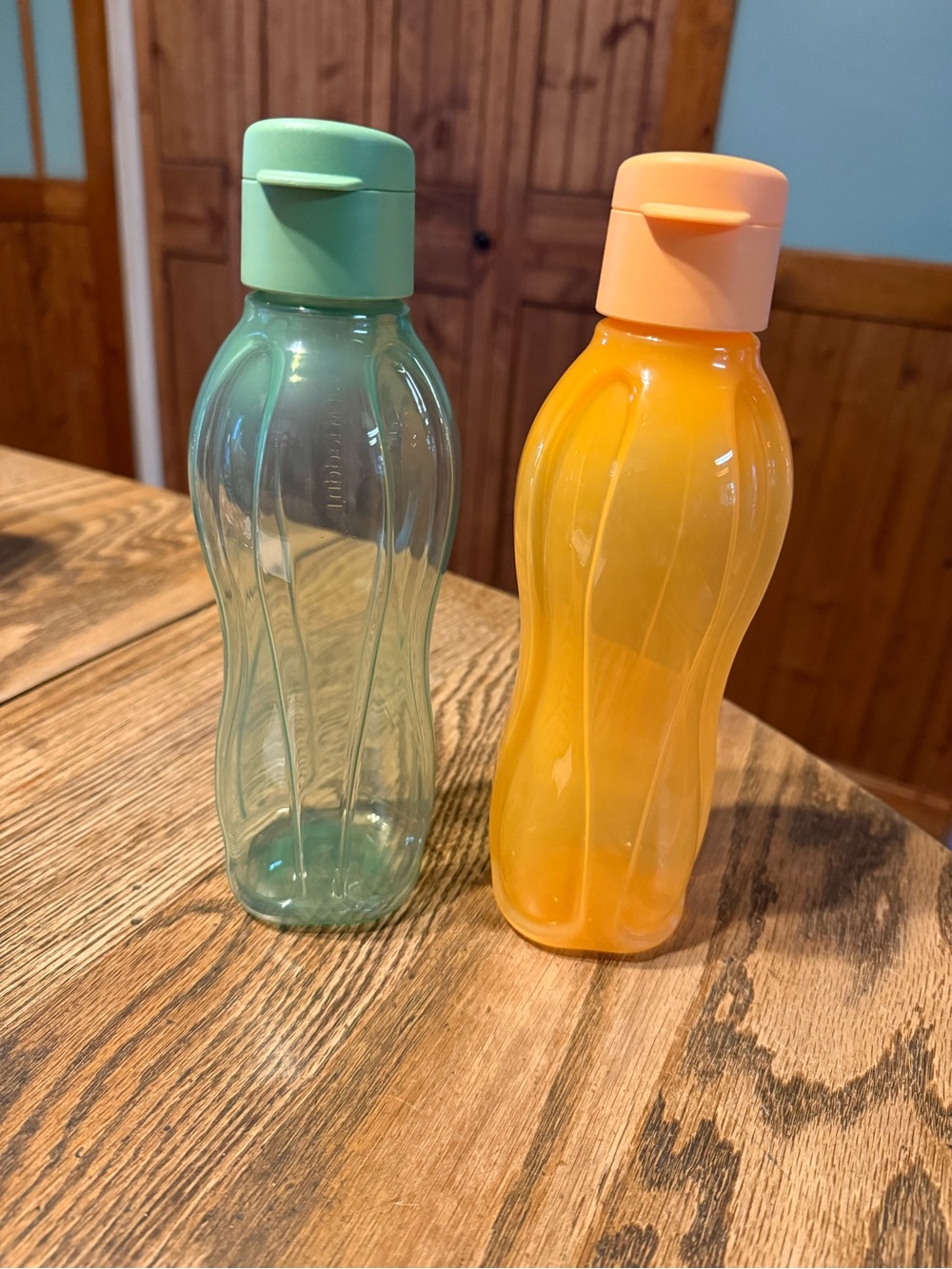 Tupperware Water Bottles Set - Mint Green and Orange